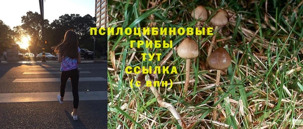 Альфа ПВП Новодвинск