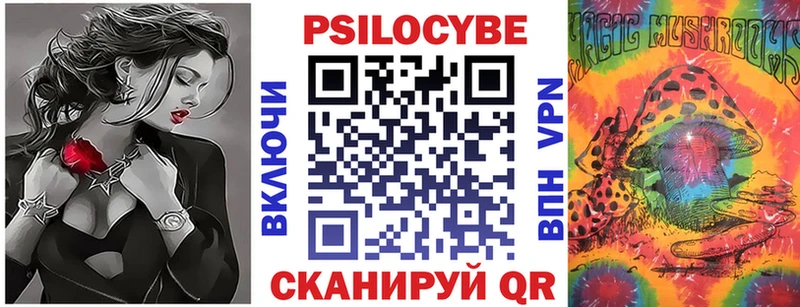 darknet телеграм  Черемхово  mega ссылка  Галлюциногенные грибы ЛСД  как найти закладки 