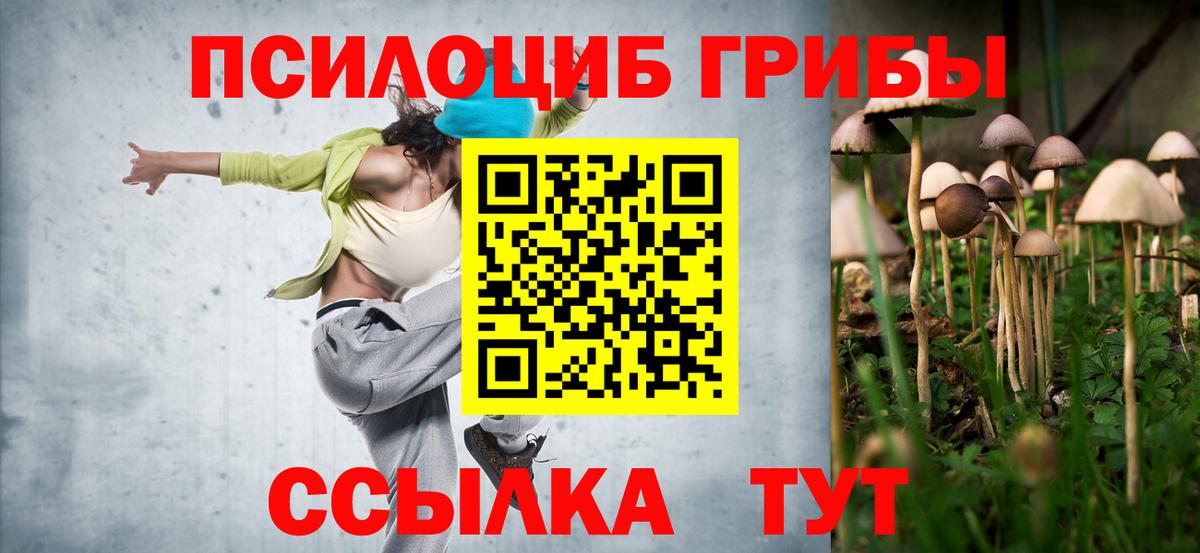 Галлюциногенные грибы прущие грибы  Вход с VPN  наркотики  Черемхово 
