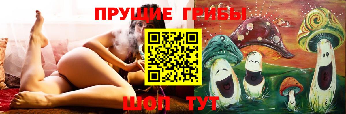 Галлюциногенные грибы мухоморы Черемхово